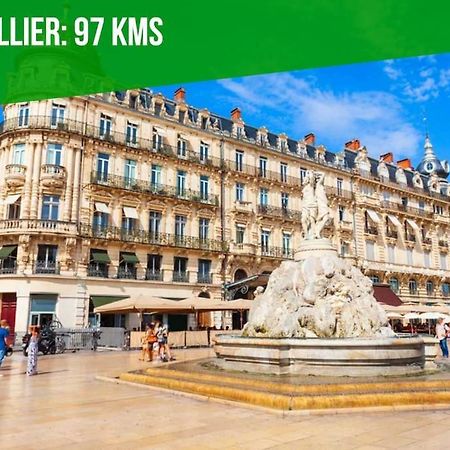 L'Olivier - 2 Terrasses - Clim Ac - Wifi - Proche Theatres Apartment Avignon Luaran gambar